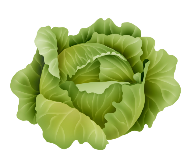 36el