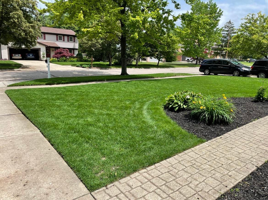 278310999_320980253512902_8835006046322619589_n