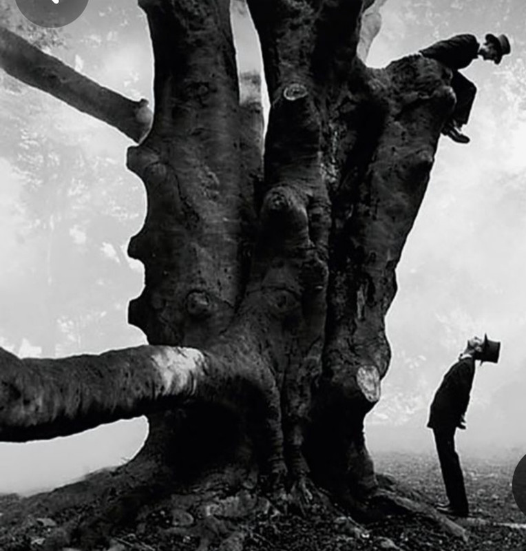 Screenshot_20231217_225535_Pinterest