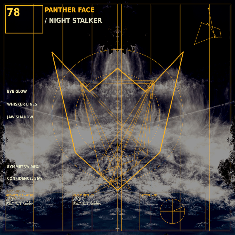 Panther face