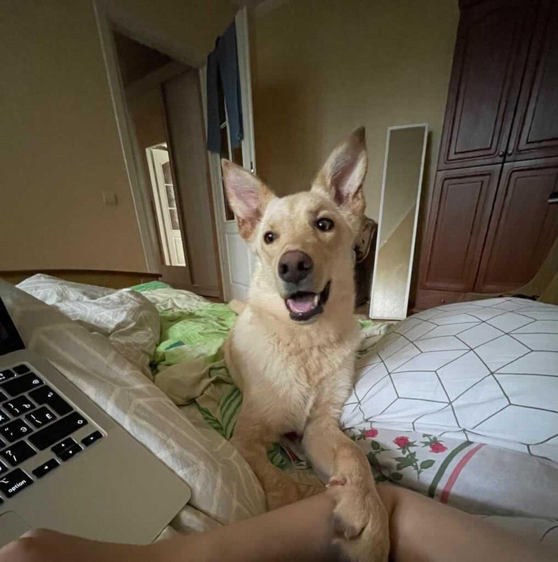 IMG_20210615_123723_852