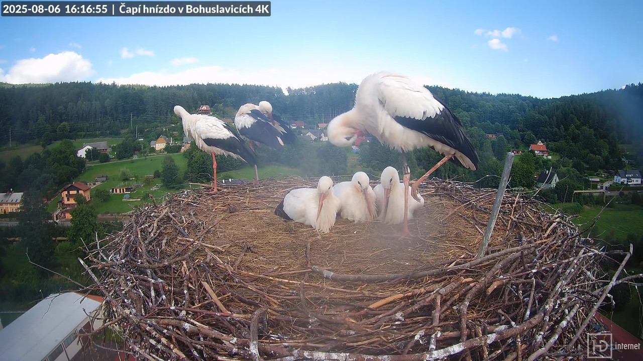 Tiešraide no KARA uzņēmuma stārķu skursteņa Bohuslavicē netālu no Trutnovas 15-6-16 screenshot