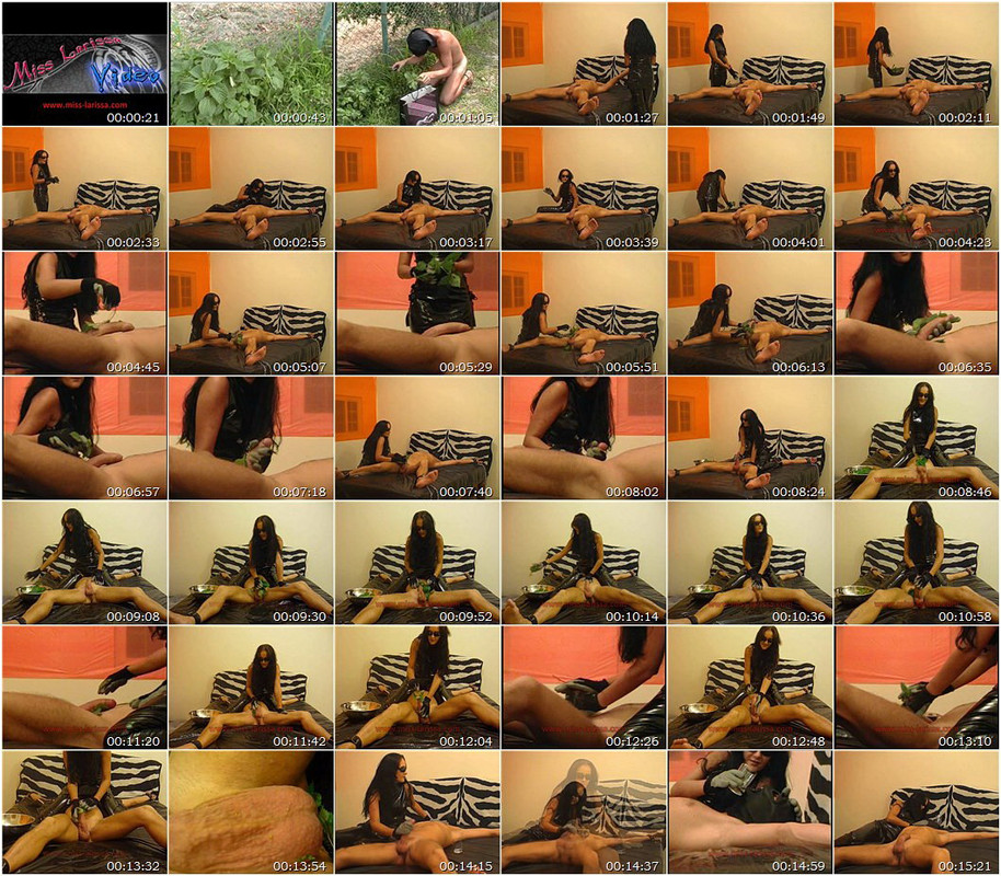 hfm_5155.wmv