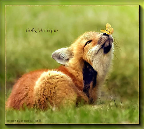 Vosje-tekst.jpgâborderâ0