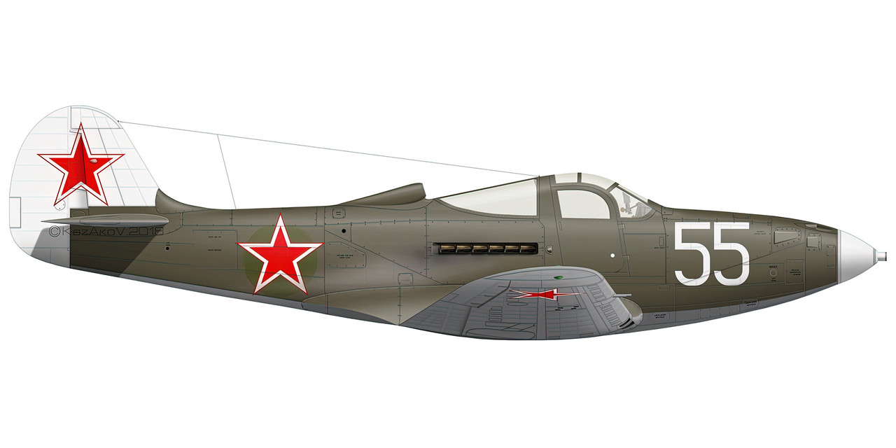 Bell-P-39-Airacobra-102GvIAP-7IAK-White-55-Leningrad-Front-1944-0A