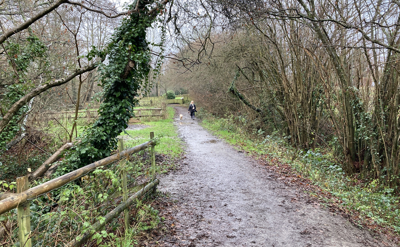 C4CAF0B0-76EE-4545-9428-9E005BDBF20E