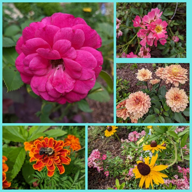 [Image: Photo-Grid-1628109856865.jpg]