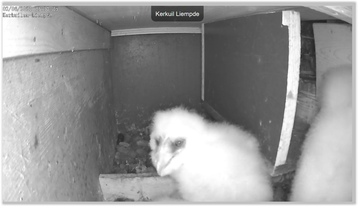 Screen Shot 06-02-21 at 11.30 PM