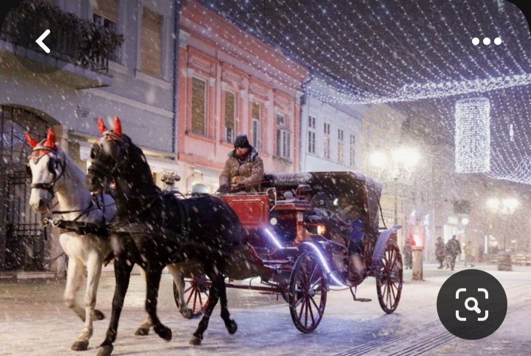 Screenshot_20231118_234920_Pinterest