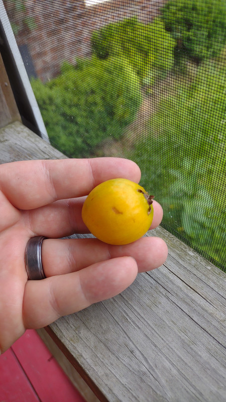 IMG_20240503_180503491