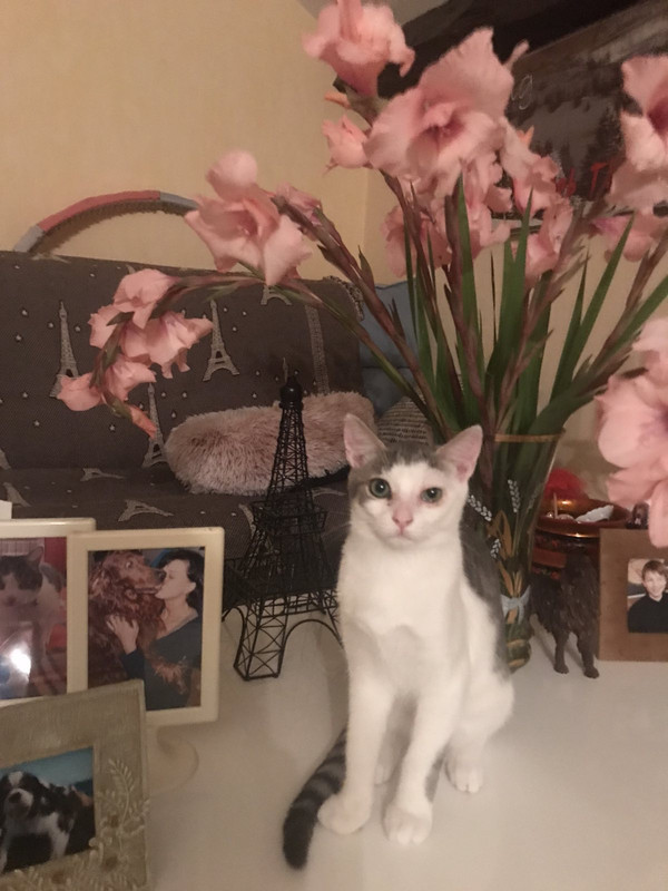 10A2BC2A-522A-484D-9D00-66F072B05EED