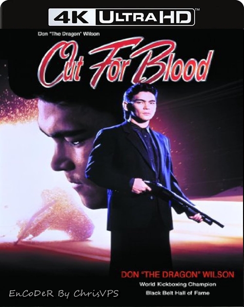 Żądza krwi / Out for Blood (1992) MULTI.HDR.AI.UP.2160p.WEB.DL.AC3-ChrisVPS / LEKTOR i NAPISY