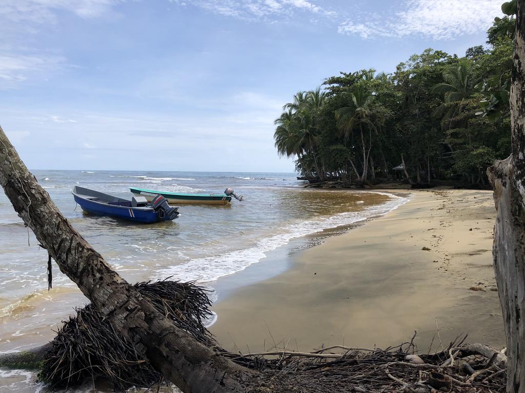 DE TORTUGAS Y PEREZOSOS. COSTA RICA 2019 - Blogs of Costa Rica - DIA 6: REFUGIO NACIONAL GANDOCA-MANZANILLO (1)