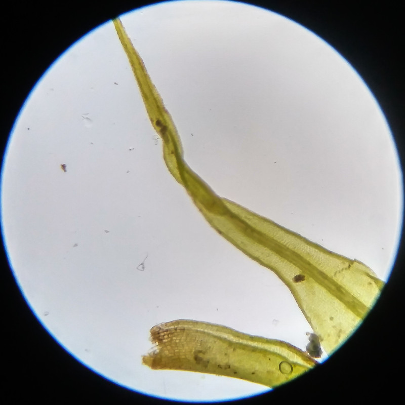 IMG 20250617 121825 HDR