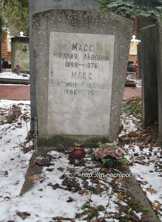 mass-vladimir1