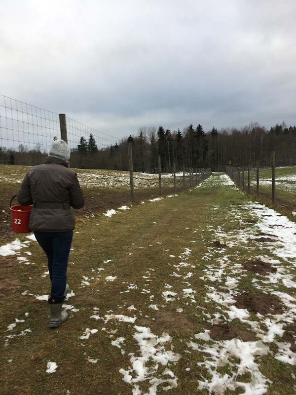 D03BD57E-5488-43FF-B08B-96A8E929D2DE