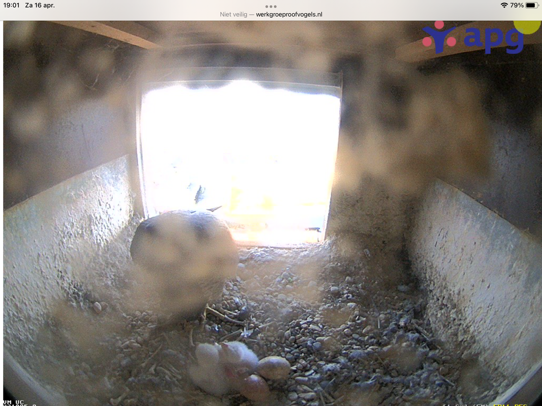 94F71739-F2A1-45A4-93C5-53C80B340831