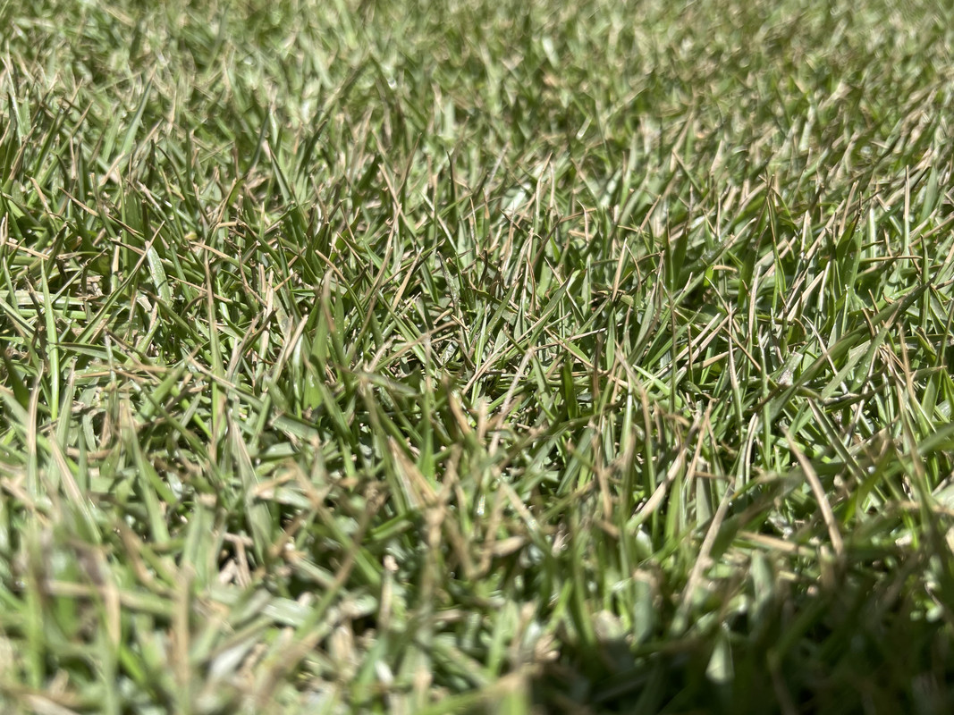 8214E65E-01E9-4DF7-9D35-006849A11274