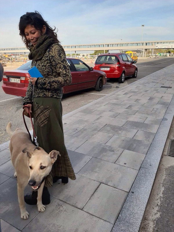 ральф в испании 2