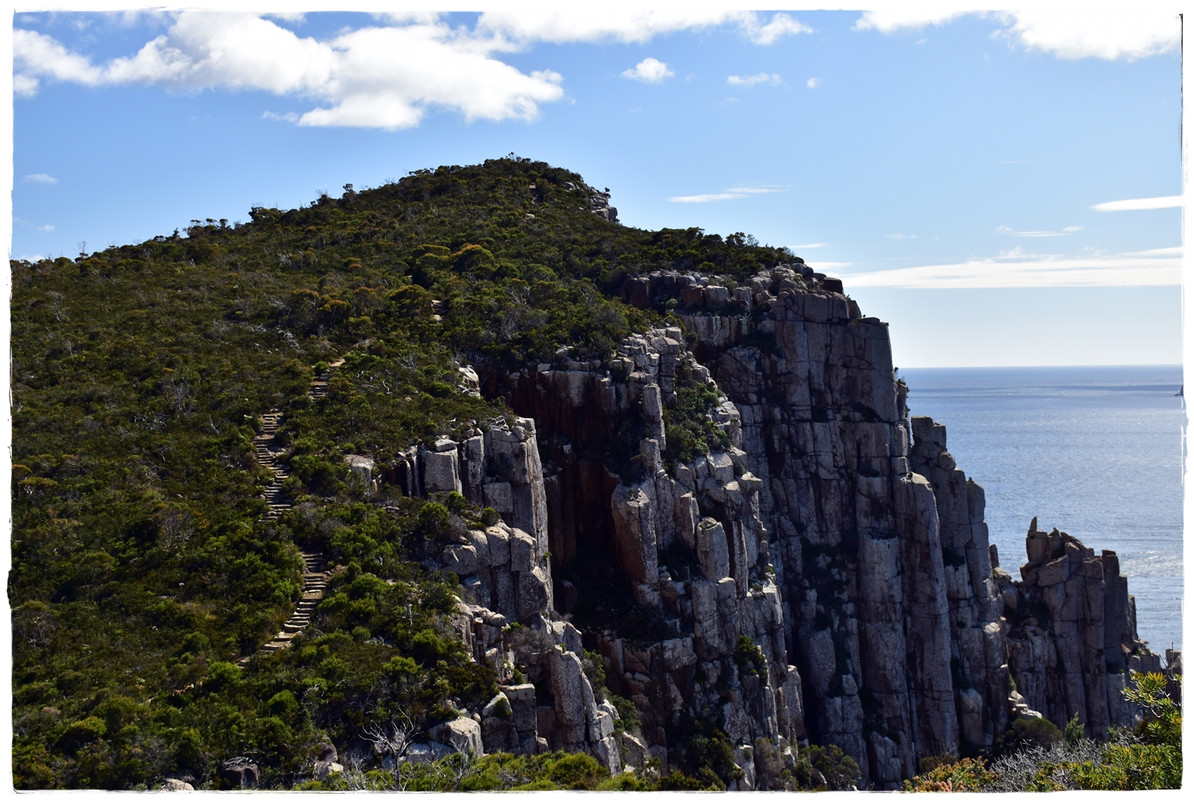 Australia (II): Recorriendo Tasmania - Blogs de Australia - Tasman National Park (4)