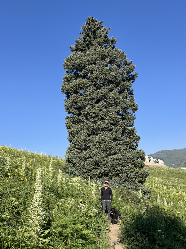 IMG 7699