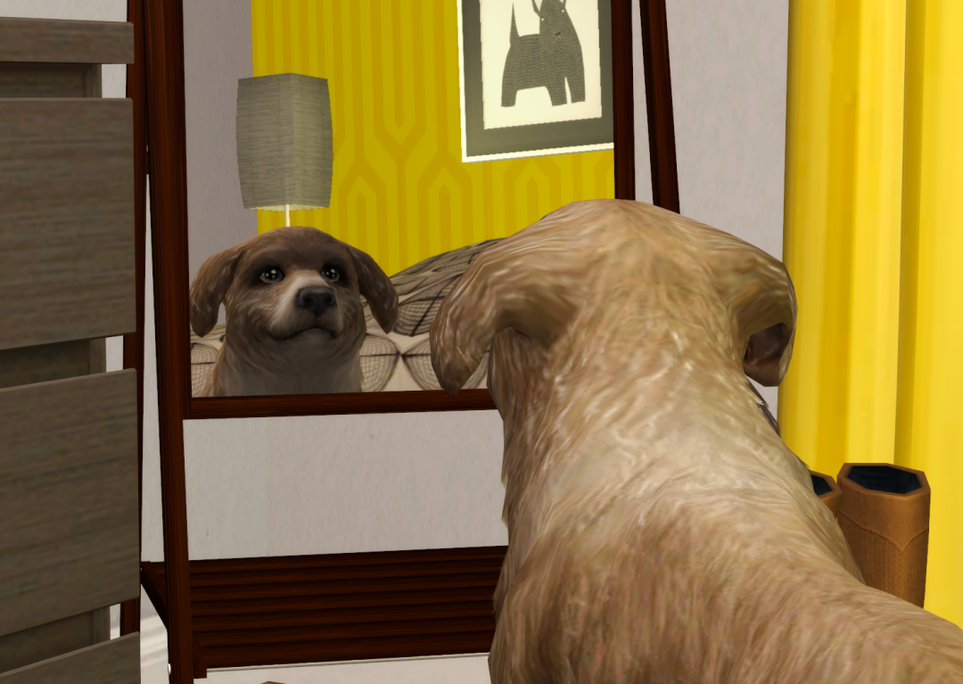 Sims2-EP9-RPC-2023-02-25-19-12-36-48