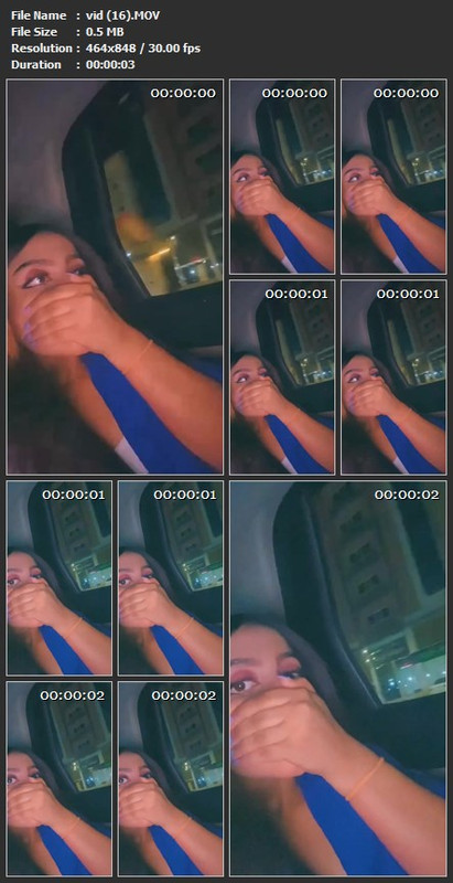 vid (16).MOV