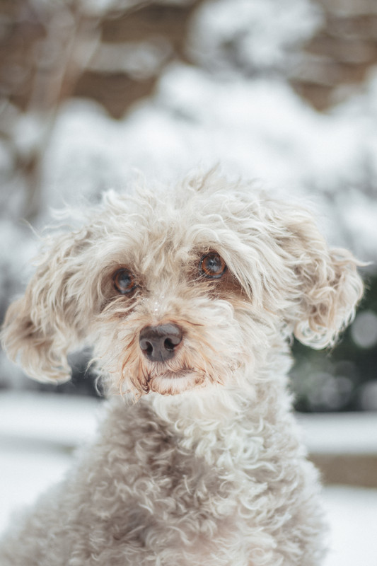 FF506FD8-2D26-460B-99FF-91E0B1DC8A3C