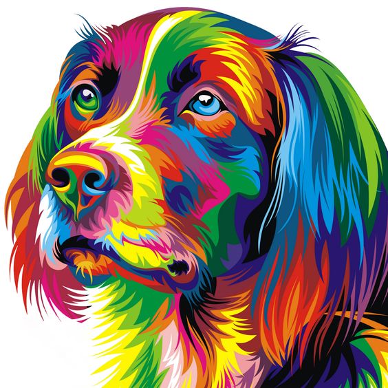 multi-dog-face.jpg