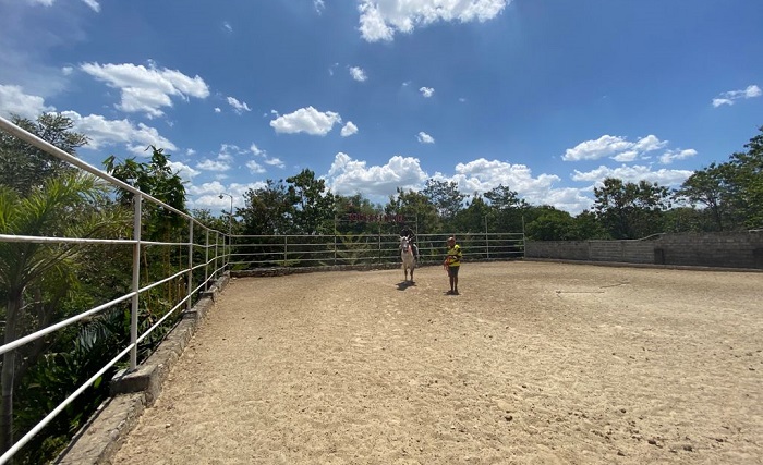 Lapangan berlatih kuda di Sukasikuda Stable.
