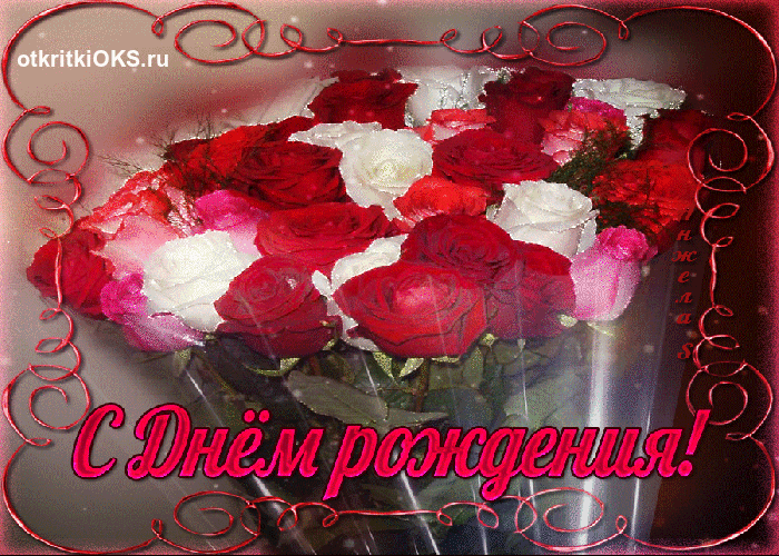 https://i.postimg.cc/4yHbXZqq/s-dnem-rojdeniya-pozdravlyayu.gif