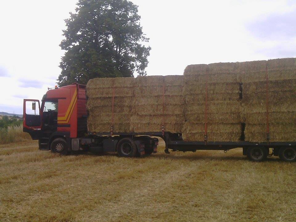 22086_720253394747315_2705962078497512459_n.jpg?