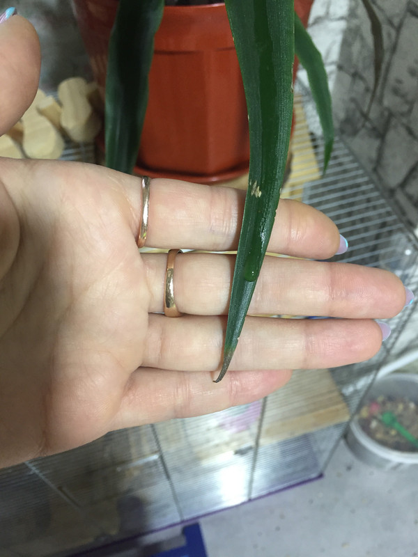 042C04EE-90E5-410C-9914-DDD6806FED50