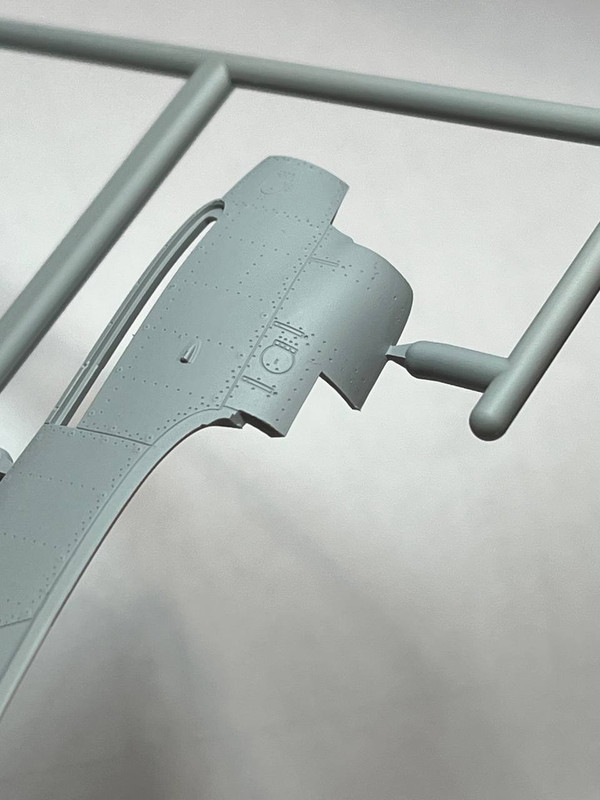 photo_2025-01-29_00-02-58