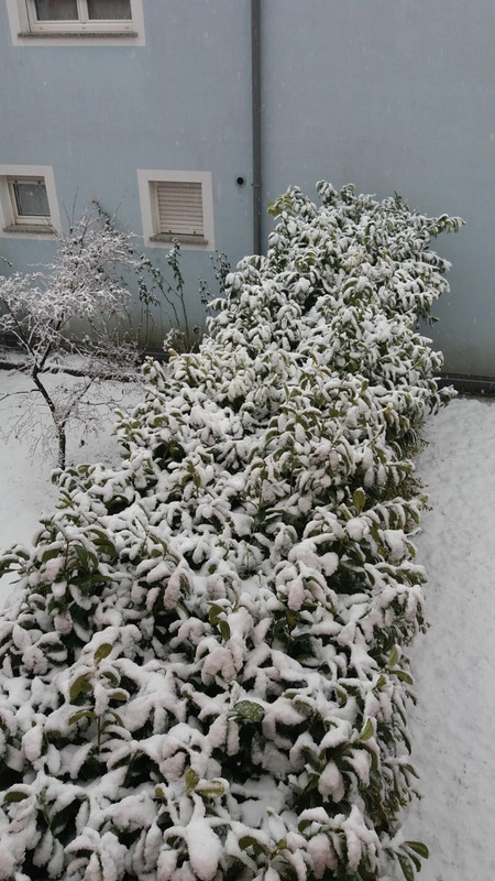 IMG-20190201-WA0013