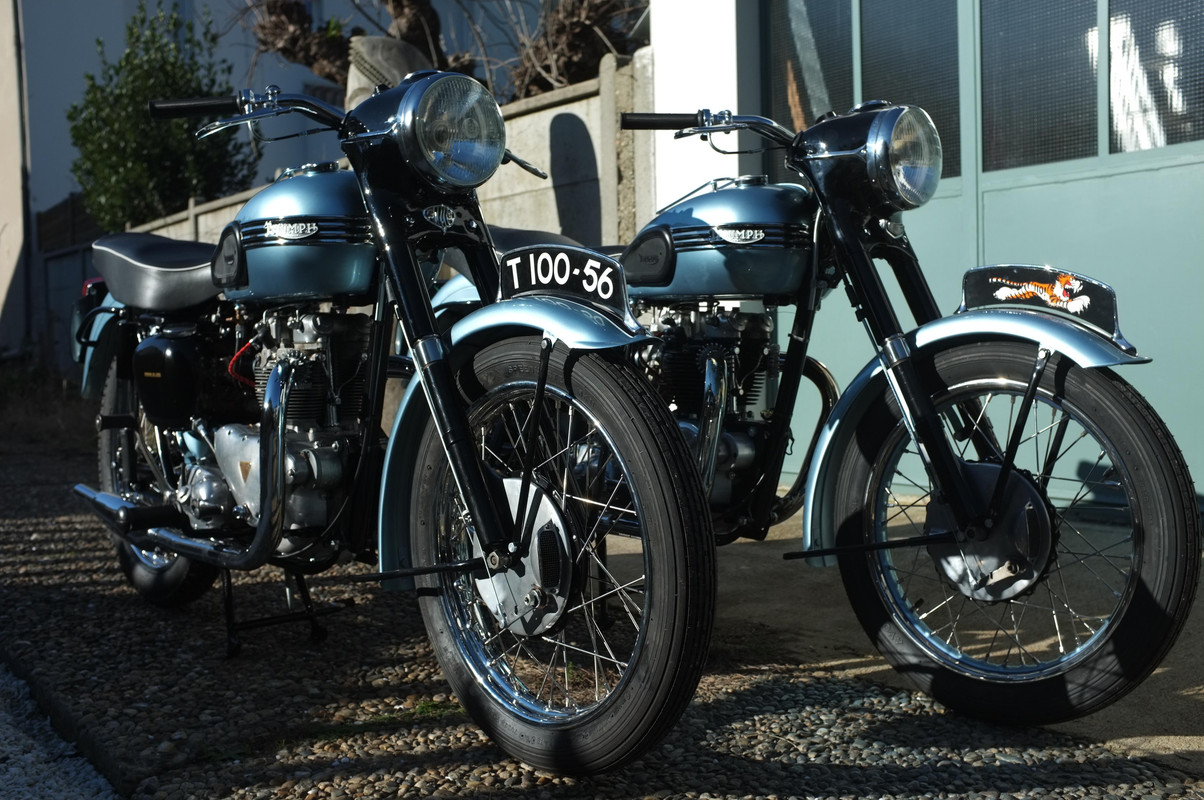 D3A96028-A824-4E25-82FE-F3DB53E80FD4