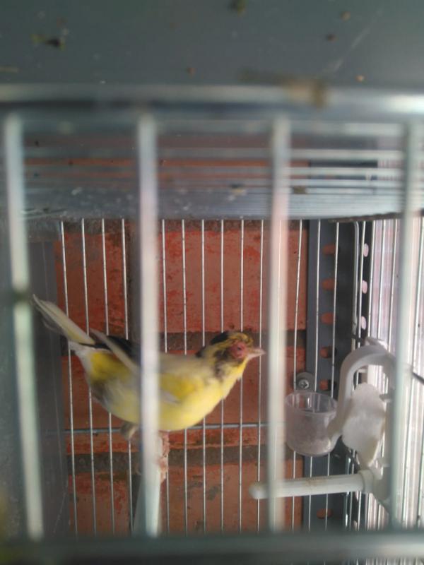 de73846a-0ecd-4559-a53b-0ec687dbc702