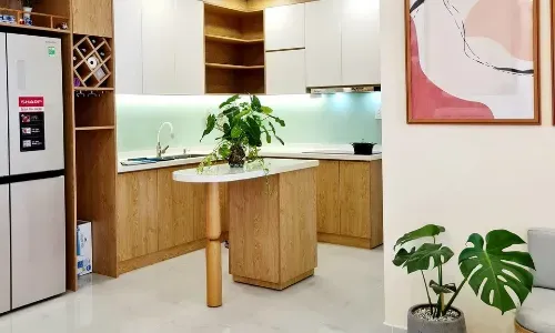 Mặt bếp 4