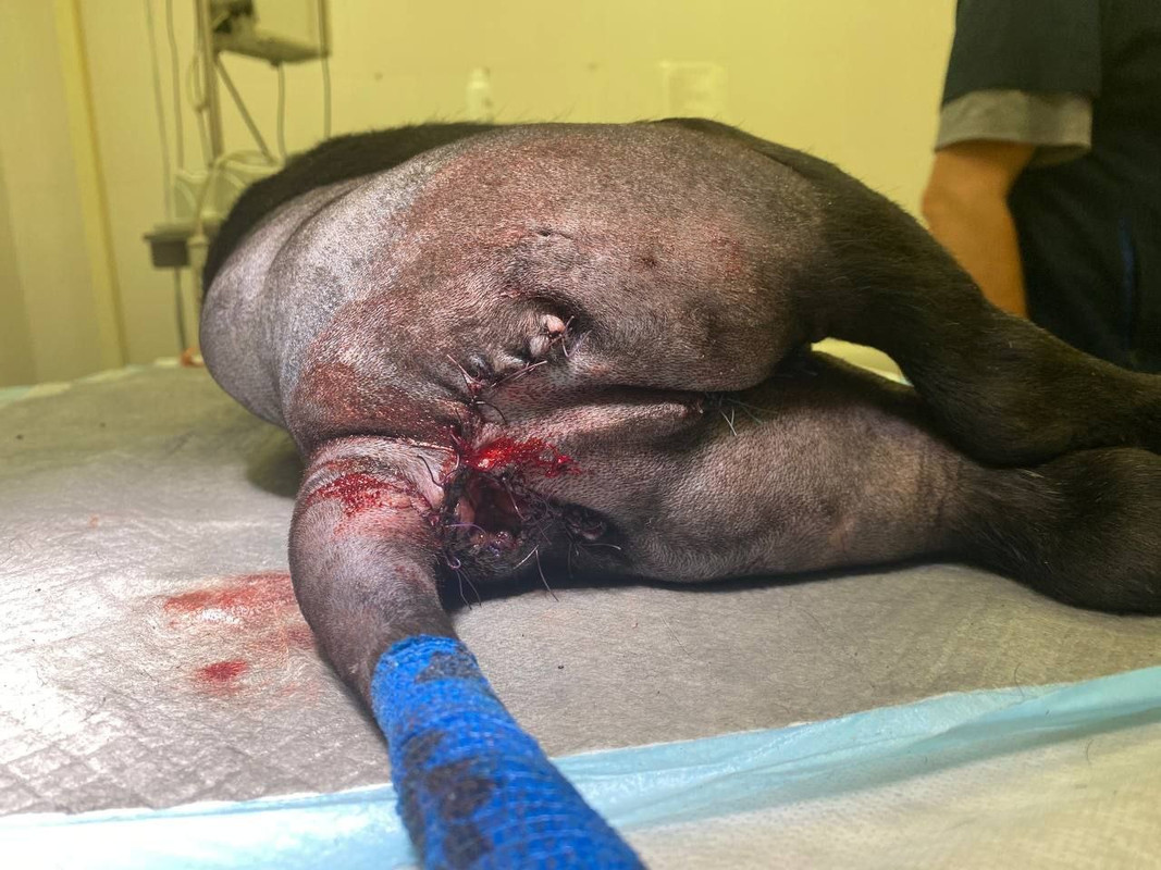 8B3248EF-AB29-4E17-97C9-1A37A4DA431D