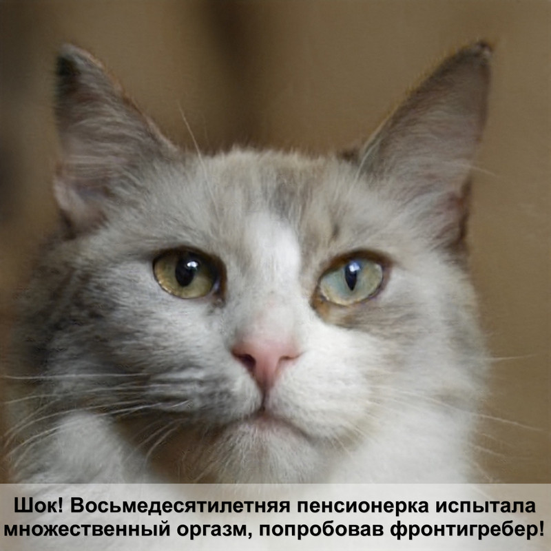 игрушки для кошек своими руками