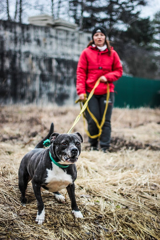 без имени-0508