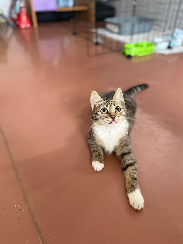 CE45D54F-4922-4989-8DB8-77F192E1A32C