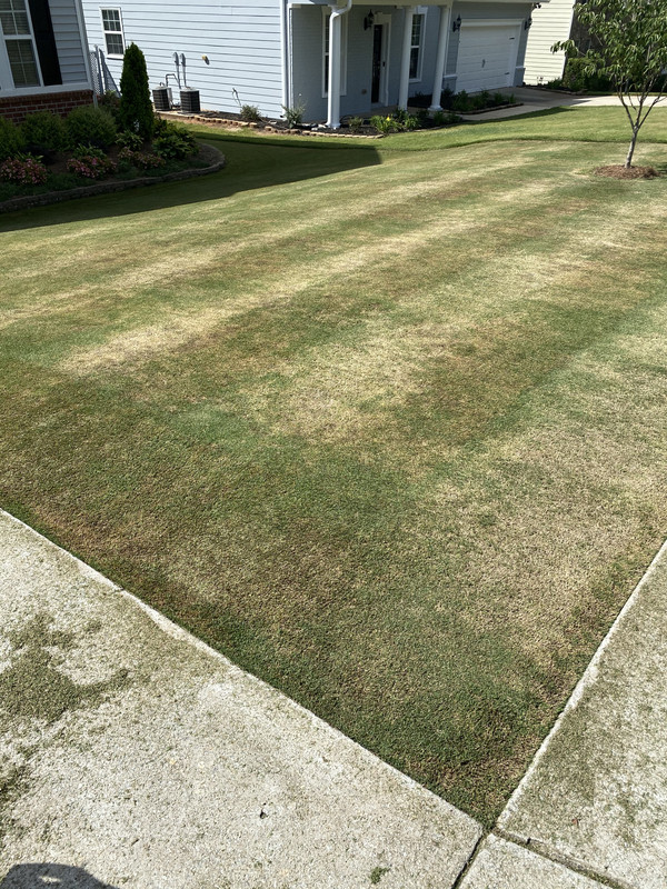 EB85E8BE-2251-4CAE-A15A-638FE8FCB5D4