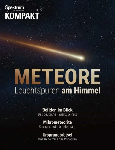 Cover: Spektrum der Wissenschaft Kompakt  No 39 vom 04  Oktober 2022