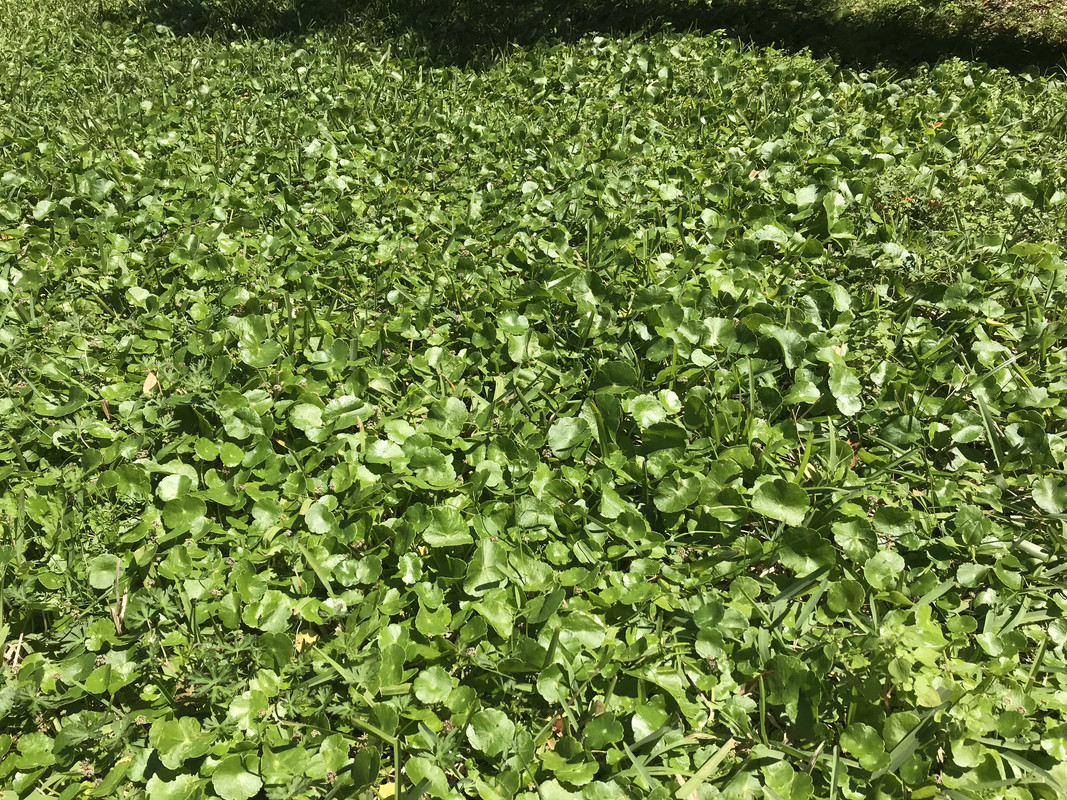 C1B513C6-0738-4865-90D3-71A90F1BCE1E