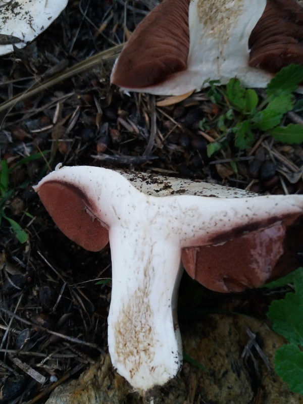 784445FB-209F-4AB3-90A7-D366A1BC0BE5