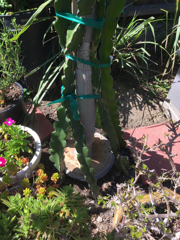 FCAD0EE3-09A3-4EF1-8CFB-41FEA62219BA