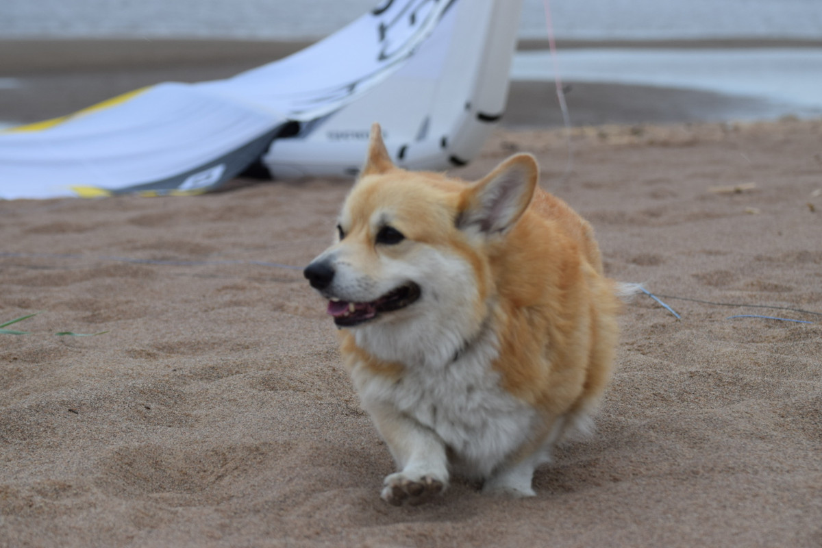 F9806BBD-AD96-477A-8BB0-F3F18E6E01D7