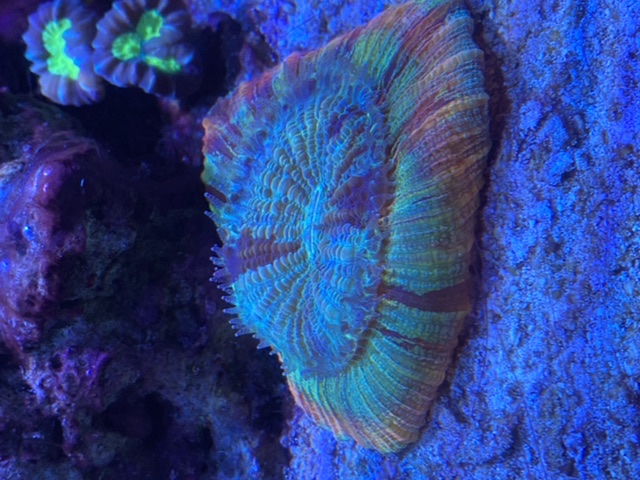 C9B0D5E7-0039-4B14-8CD1-3054A6F6681A