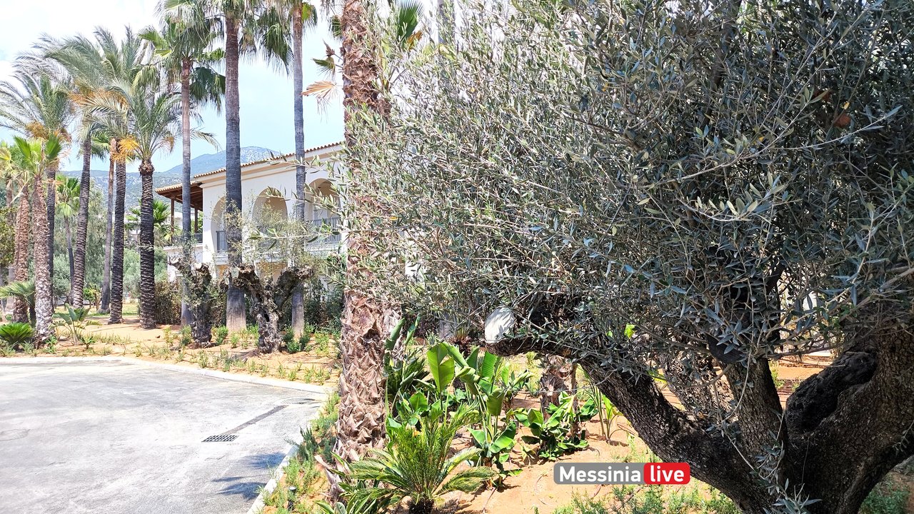 GRECOTEL-FILOXENIAIMG-20250628-144129